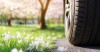 Roll Into Summer With High Quality, Affordable Tires